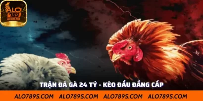 Trận Đá Gà 24 Tỷ - Kèo Đấu Đẳng Cấp Khiến Người Xem Mê Mẩn