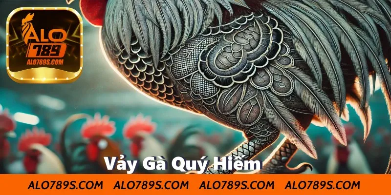 Vảy Gà Quý Hiếm – Cách Nhận Biết Ý Nghĩa Trong Giới Gà Chọi